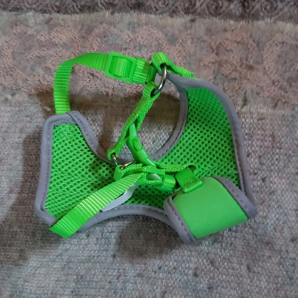 Kitten or small cat safety harness with reflective stripes
